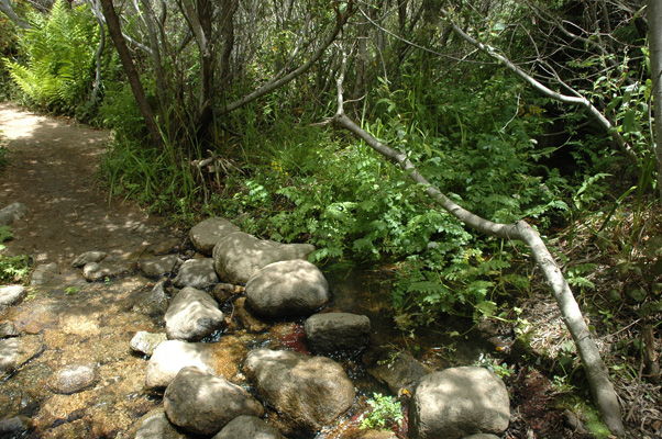 Soberanes Canyon 048.jpg